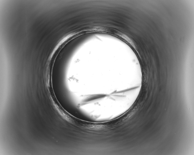 X0000085751131200704091311