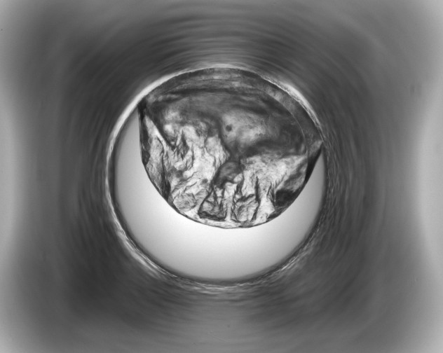 X0000085751132200704091311