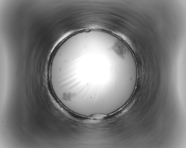 X0000085751134200704091311