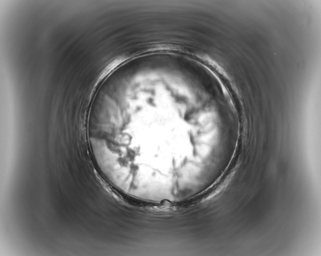 X0000085751137200704091311