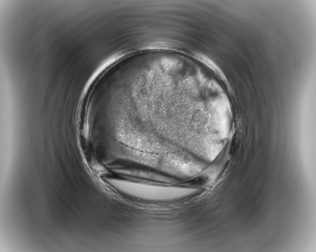 X0000085751138200704091311