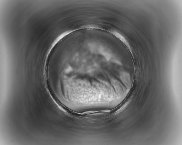 X0000085751141200704091311