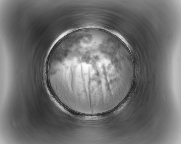 X0000085751142200704091311