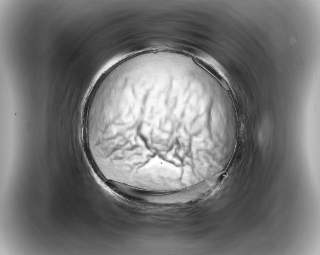 X0000085751143200704091311