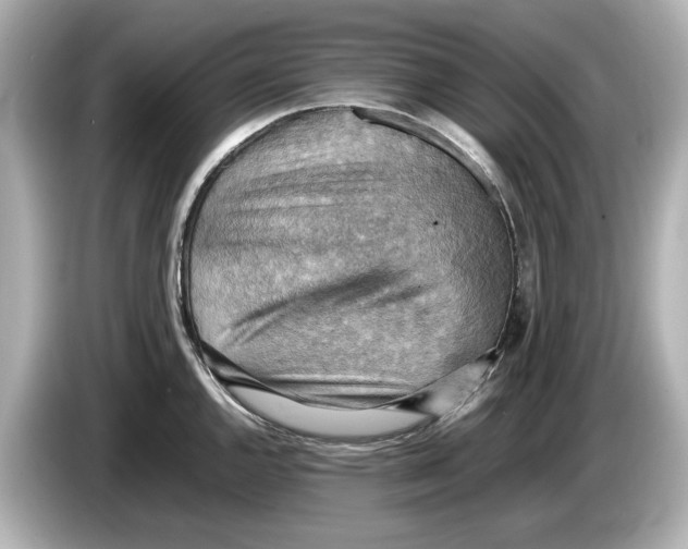 X0000085751144200704091311