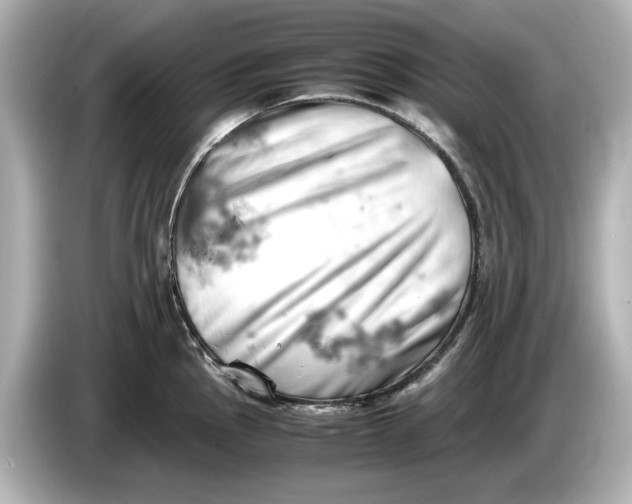 X0000085751145200704091311