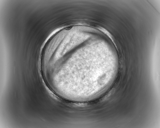 X0000085751147200704091311