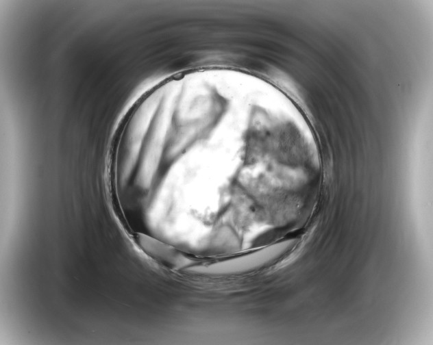 X0000085751149200704091311