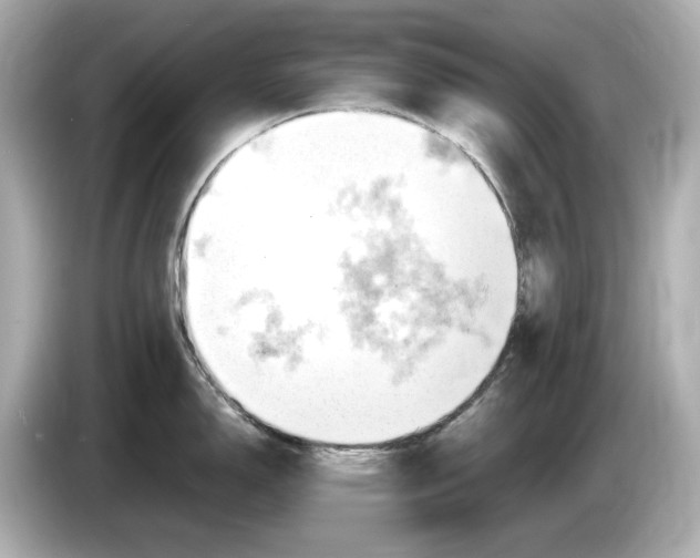 X0000085751150200704091311