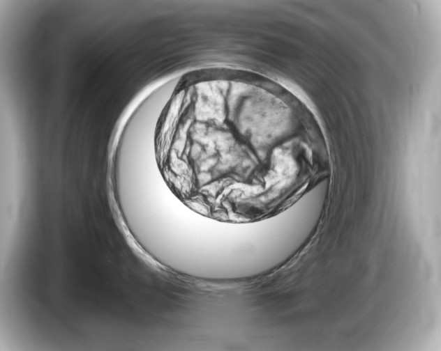 X0000085751152200704091311