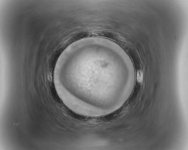 X0000085751155200704091311