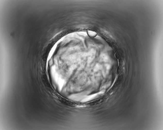 X0000085751158200704091311