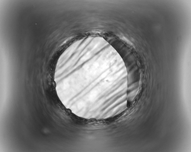 X0000085751159200704091311