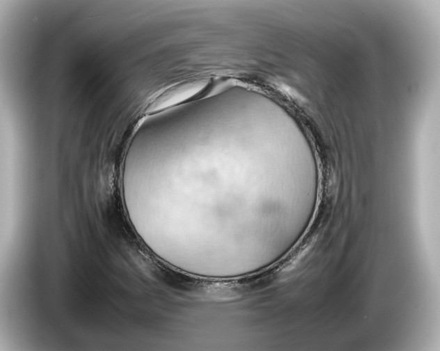 X0000085751161200704091311