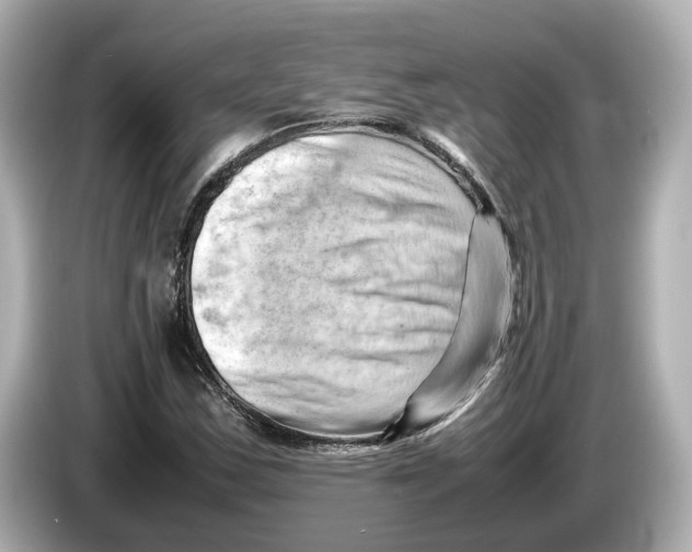 X0000085751163200704091311