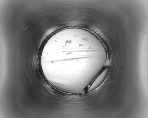 X0000085751164200704091311