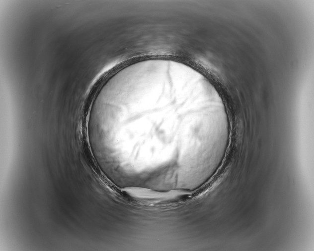 X0000085751166200704091311