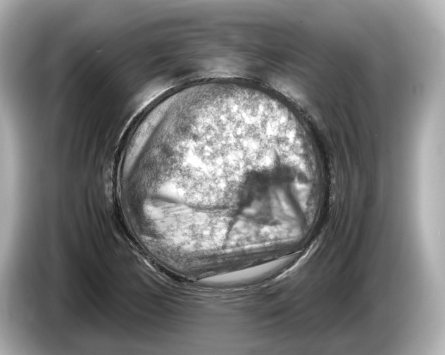 X0000085751170200704091310