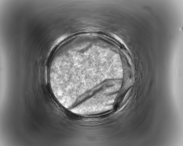 X0000085751171200704091310