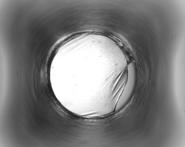 X0000085751172200704091310