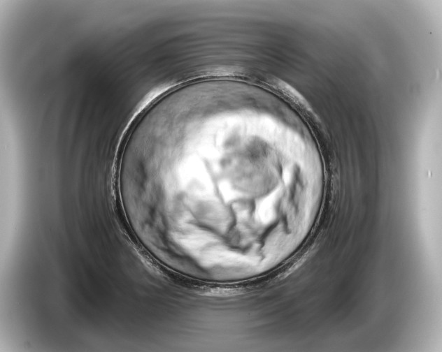 X0000085751178200704091310