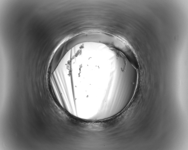 X0000085751181200704091310