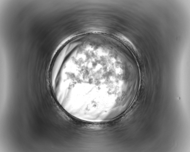 X0000085751182200704091310