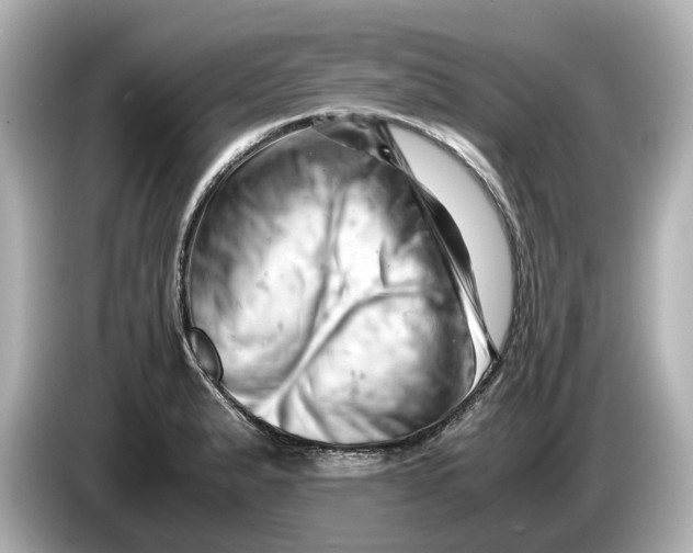 X0000085751183200704091310