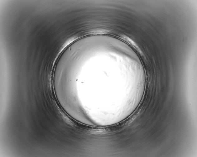 X0000085751186200704091310