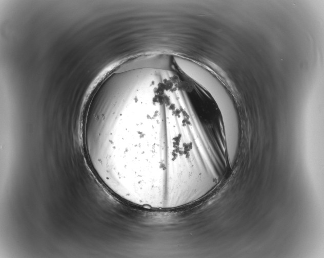 X0000085751188200704091310