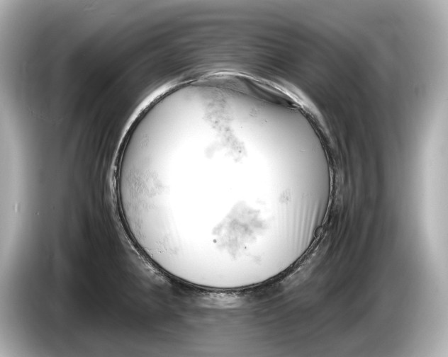 X0000085751190200704091310