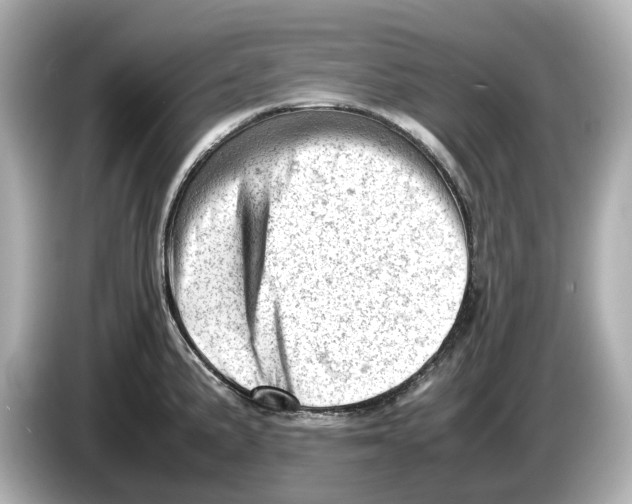 X0000085751191200704091310