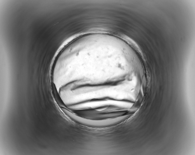 X0000085751192200704091310