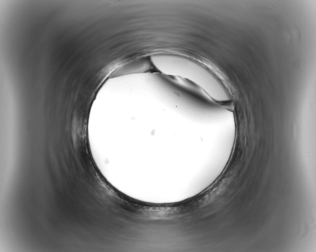 X0000085751193200704091310