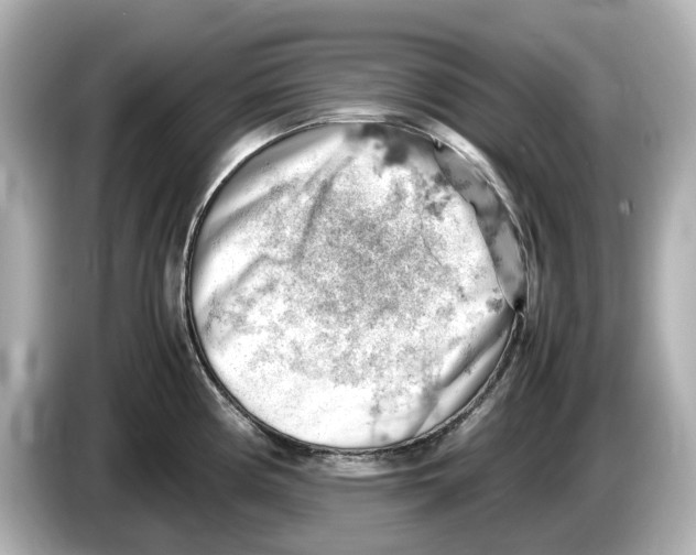 X0000085751194200704091310