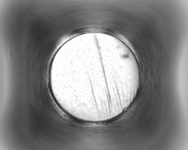 X0000085751195200704091310