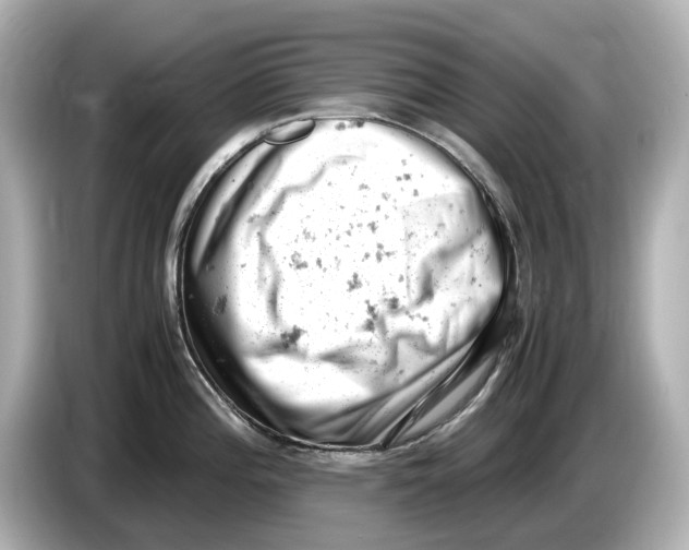 X0000085751196200704091310