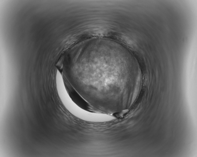 X0000085751202200704091310