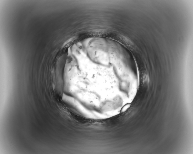 X0000085751204200704091310