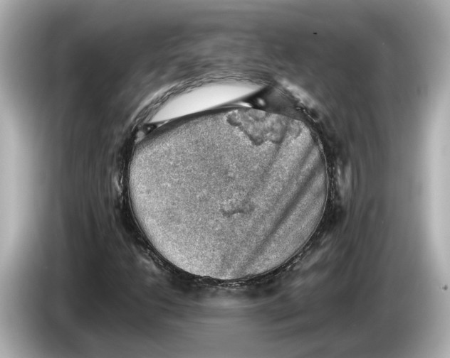 X0000085751206200704091310