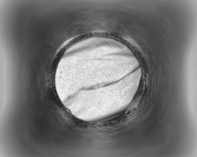 X0000085751208200704091310