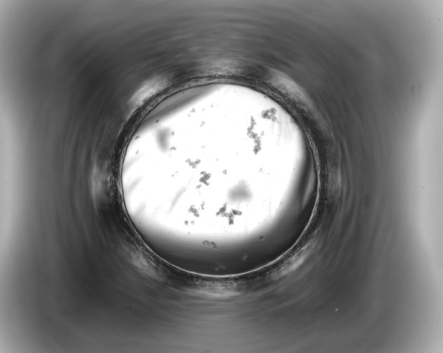 X0000085751210200704091310