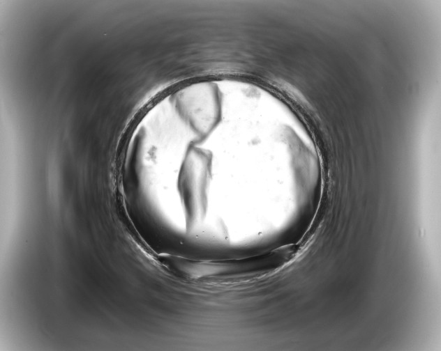 X0000085751212200704091310