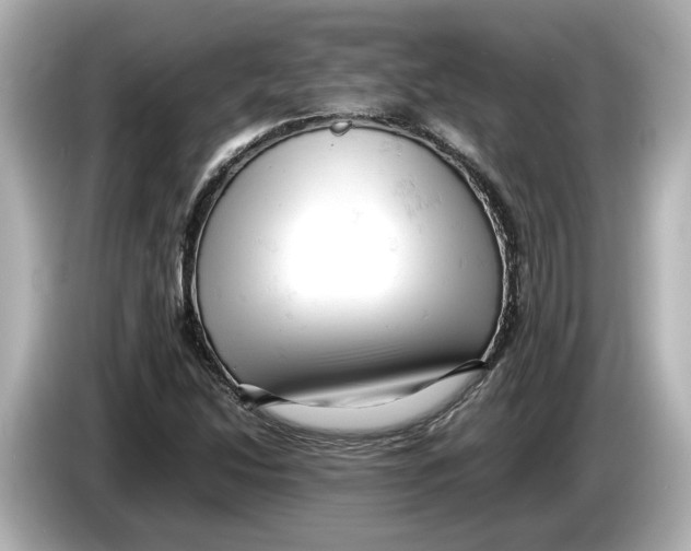 X0000085751214200704091310