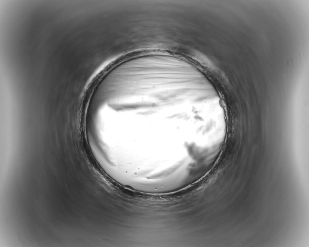 X0000085751216200704091310