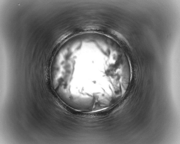 X0000085751217200704091310