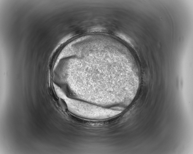 X0000085751219200704091310