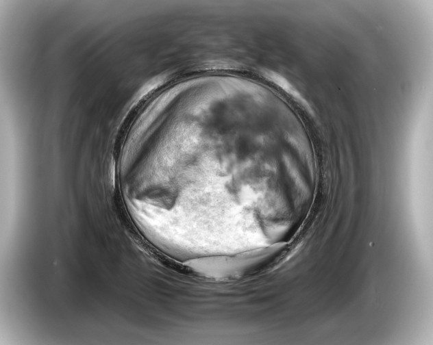 X0000085751221200704091310