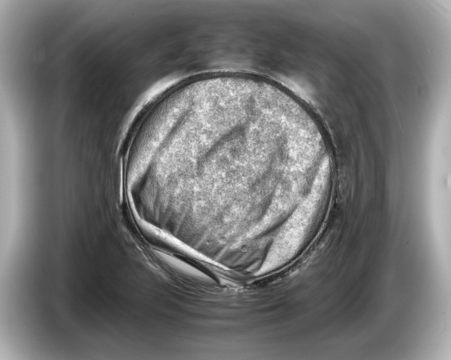 X0000085751223200704091310