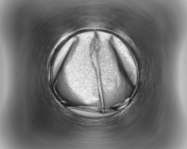 X0000085751224200704091310